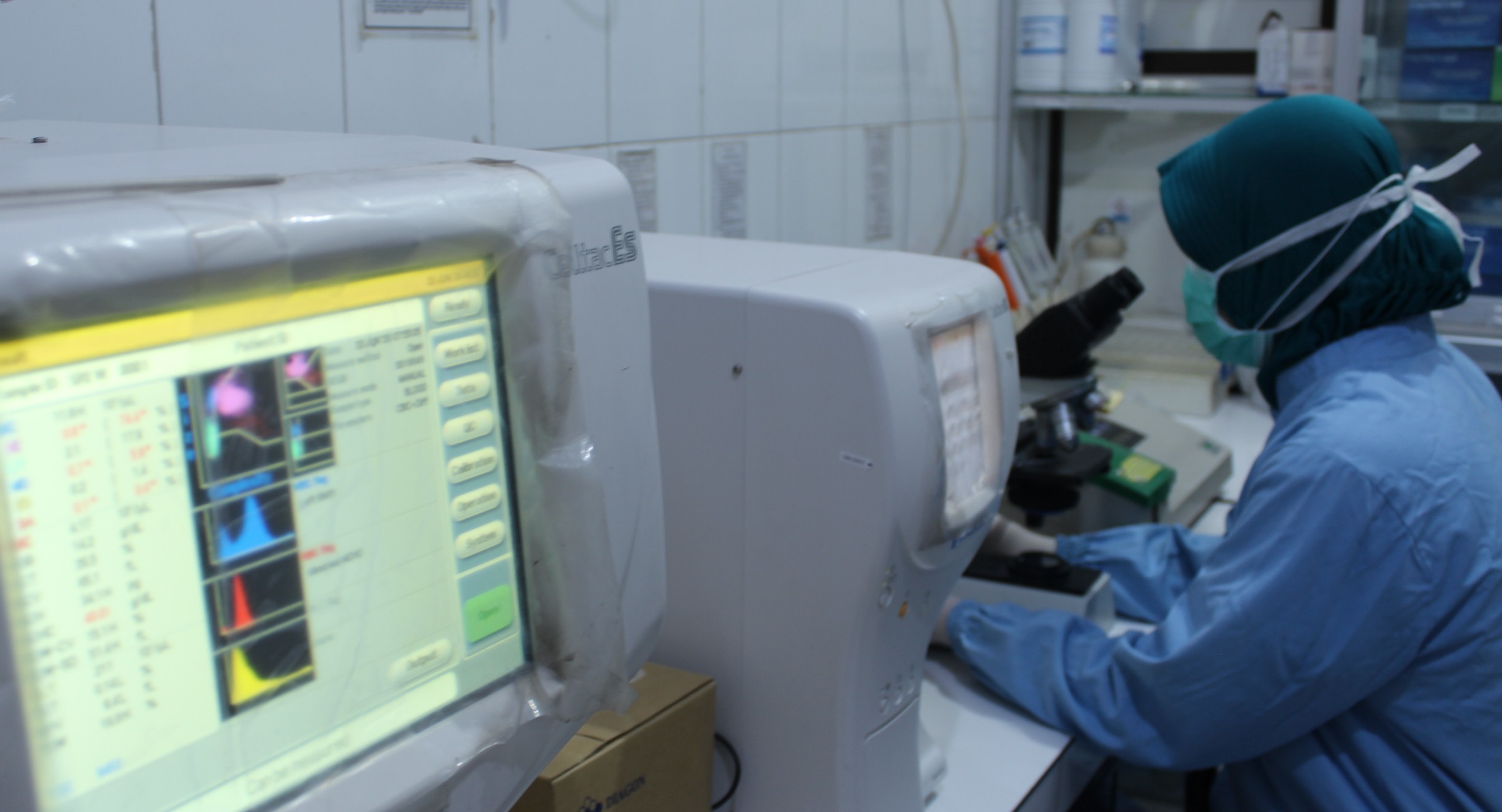 lab lab